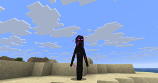 e_12.png
