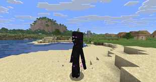 e_11.png