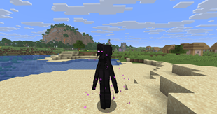 e_10.png
