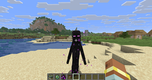 e_9.png