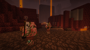Nether Wastes