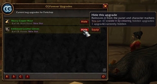 Upgrade-Panel-Hide.jpg