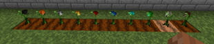 03-row.png