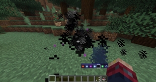 Forbidden Shadow Magic...