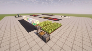 Canola Farm