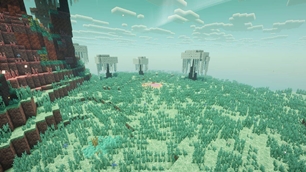 Wild Meadows