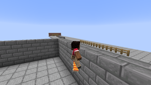 4-wallride.png