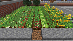 Abundant Crops