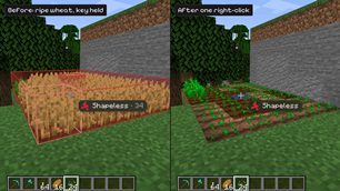 Crops