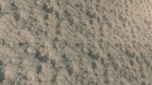 snow