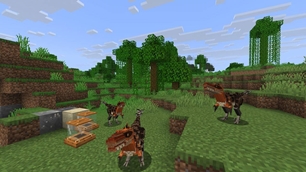 Velociraptor pack