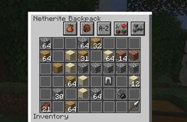 Backpack before sorting