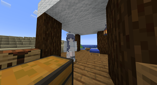 Mayla's Camp