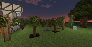 image-attachment_2c43e112-3927-4b36-bb01-1fe0f5022787.png
