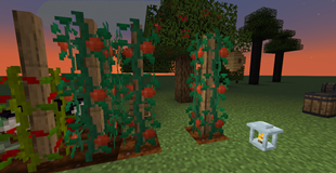 Rustic- Recrafted (2).png