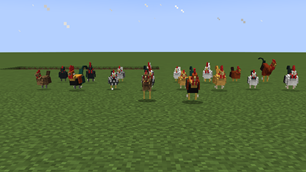 Chicken Breeds