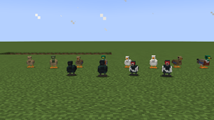 Duck Breeds