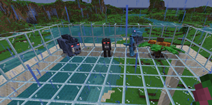 Mobs