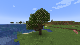 Generated macadamia