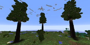 Trees!