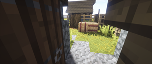 Butcher's Shop (a tease)
