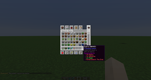 Locked Item