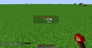 Locked Item
