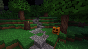 Night path