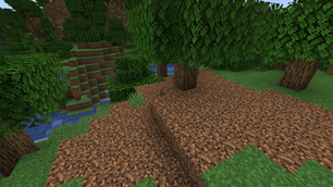 A truffle oak that grew naturally in a forest