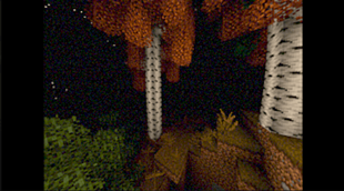 old footage.png