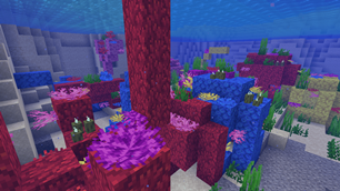gallery-reef.png