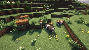 A herd in the meadow