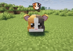 Tricolor