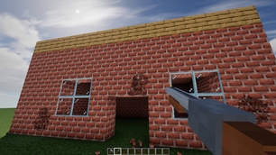 The shotgun pits the bricks