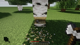 A notch and wood chips