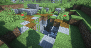 Spider Den