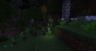 Fireflies