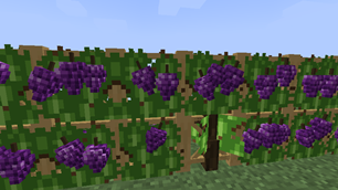 1.1.0 release