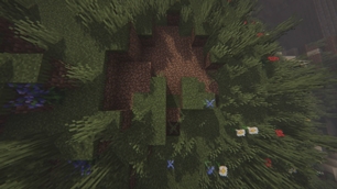 Footprint