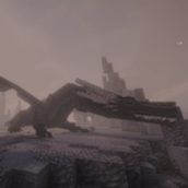 Dragon Closeup
