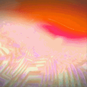 1009 (1).gif