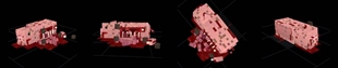 pig_shot2.jpg