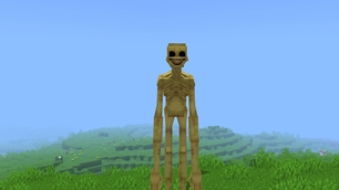 Verity Monster