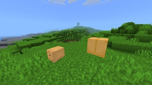 2 Boxes