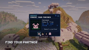 Find your partner