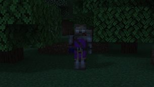 NEW Sentinel