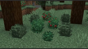 Bushes