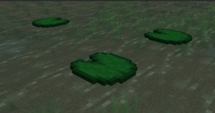 1000009703.jpg
