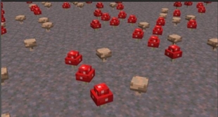1000009705.jpg