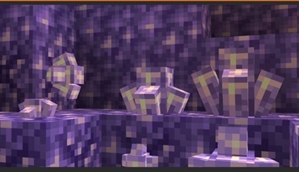 1000009696.jpg